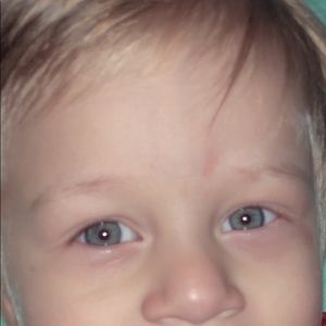 Meet your Posher, Zeviany